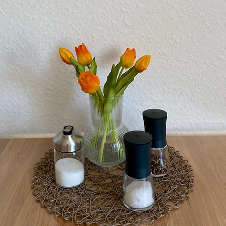 Apartment Haus Mariechen 5-sterne-dtv-ferienwohnung In Der Nähe Zum Silbersee Mit Balkon&sauna